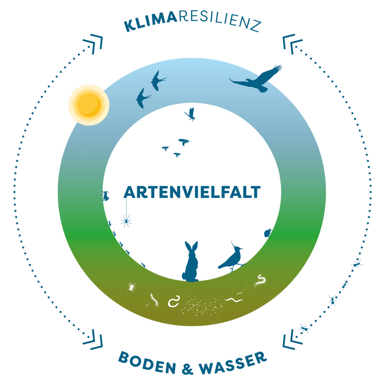 Artenvielfalt Kreislauf